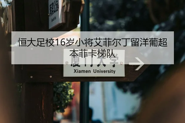 恒大足校16岁小将艾菲尔丁留洋葡超本菲卡梯队